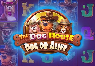 Playtech - игровой автомат онлайн от Various с RTP 95.05%
